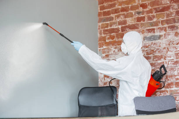 Best Real Estate Mold Inspection  in Gosport, IN