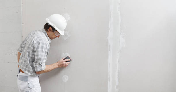 Best Basement Mold Removal  in Gosport, IN