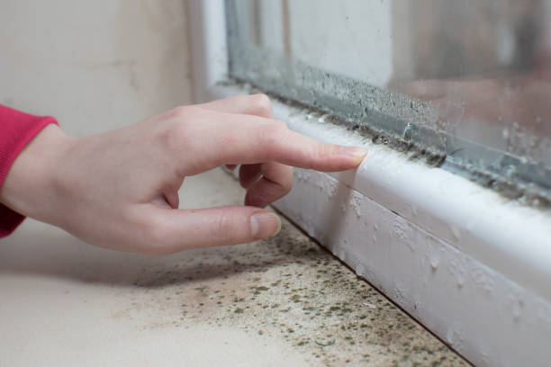 Best Asbestos and Lead Testing During Mold Inspection  in Gosport, IN