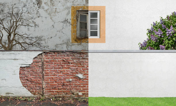  Gosport, IN Mold Removal Pros